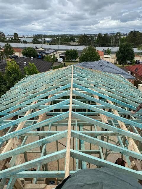 Cut timber roof frame seen from above: blue treated pine rafters pitched to a central ridge over the wall frames, with suburban rooftops and trees beyond under a grey sky